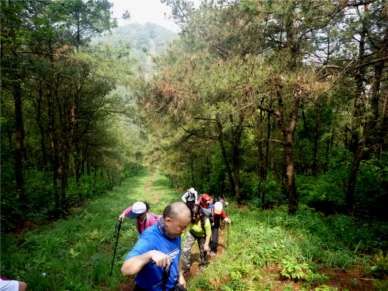 p1050635_.jpg