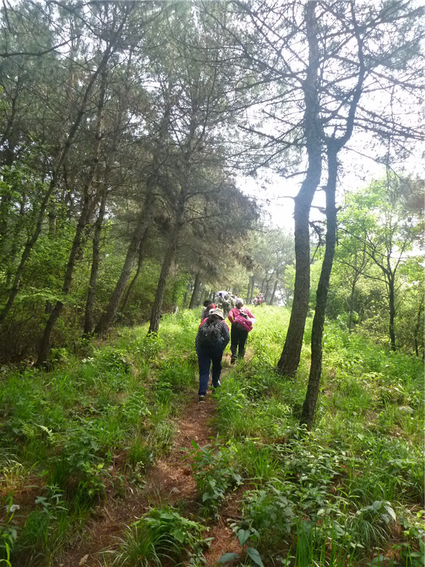 p1050647_.jpg