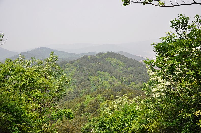 dsc_0147.jpg