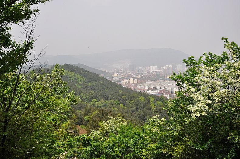 dsc_0148.jpg