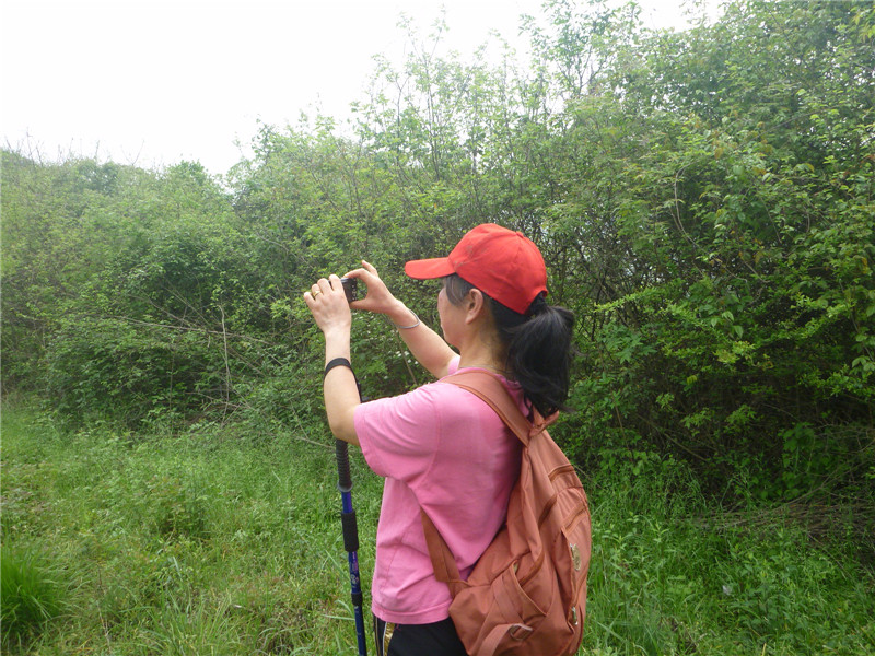 p1050660_.jpg