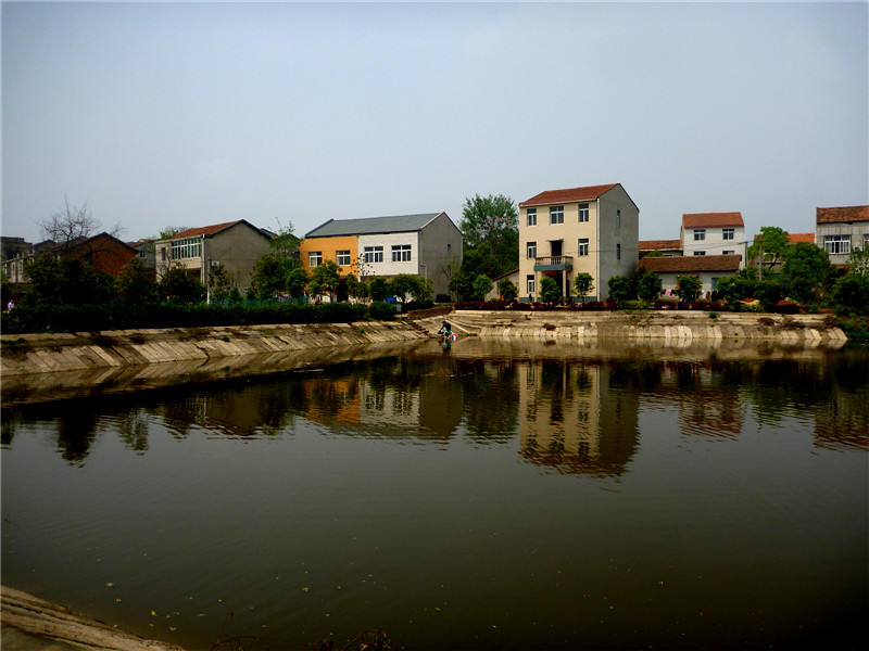 p1050669_.jpg