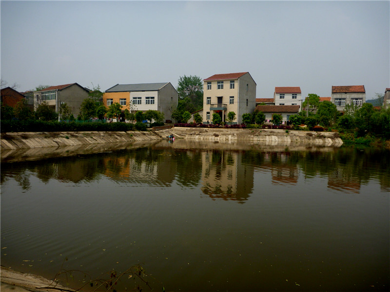 p1050668_.jpg