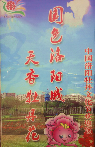 dsc07128.jpg