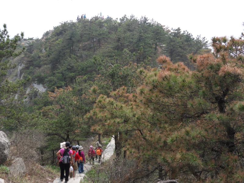 sdc10069.jpg