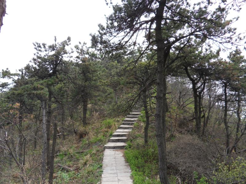 sdc10072.jpg