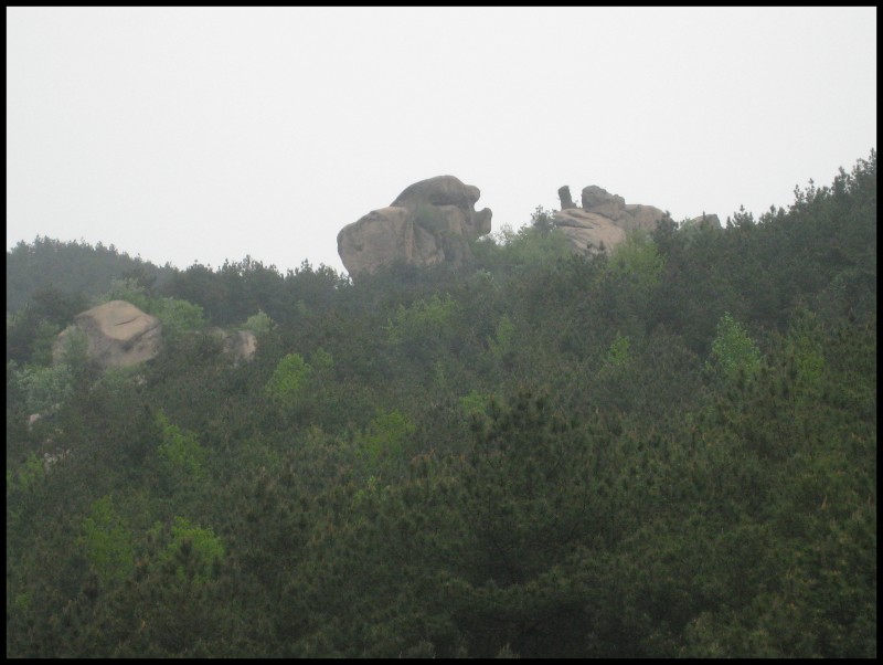 conew_img_5679.jpg
