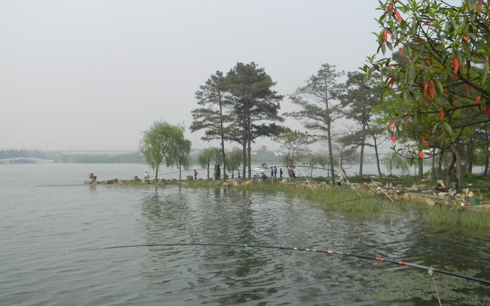 010.jpg