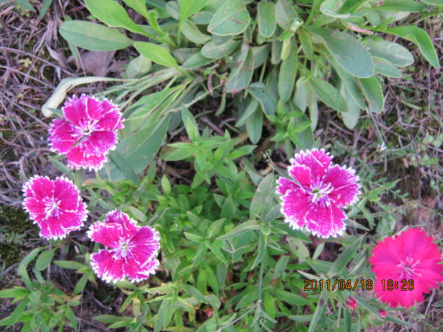 img_2226.jpg