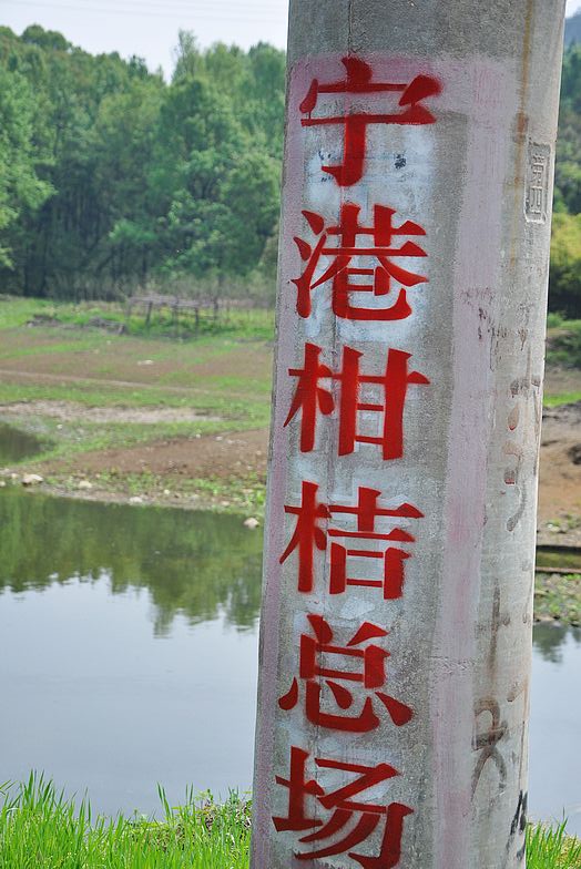 dsc_0174.jpg