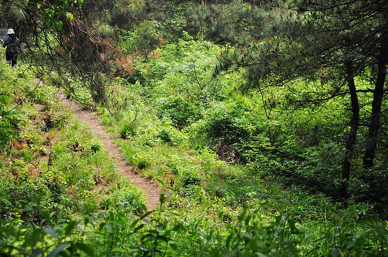dsc_0184.jpg