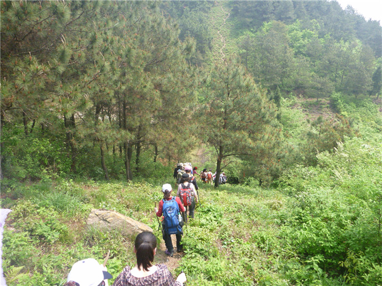 p1050651_.jpg