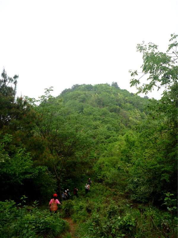p1050691_.jpg