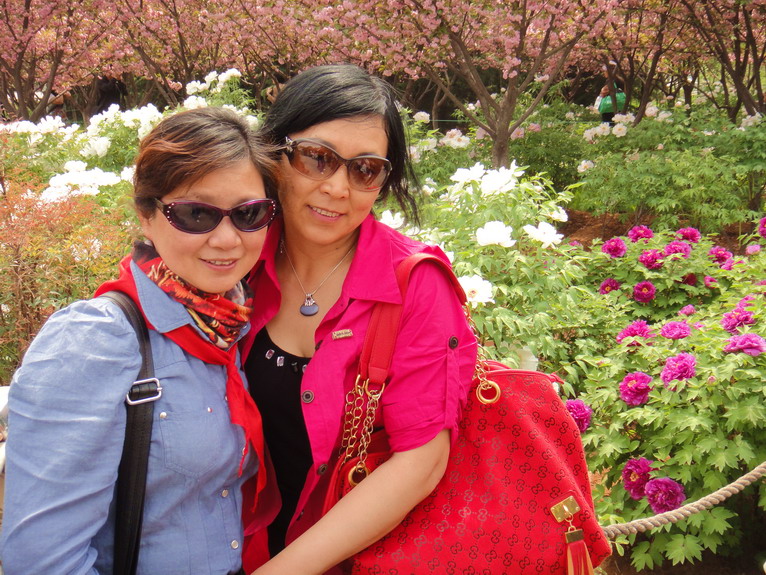 dsc07110.jpg