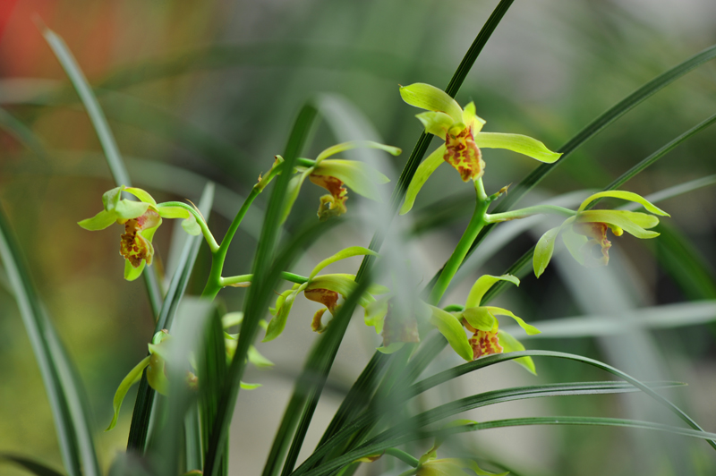 dsc_5902a.jpg