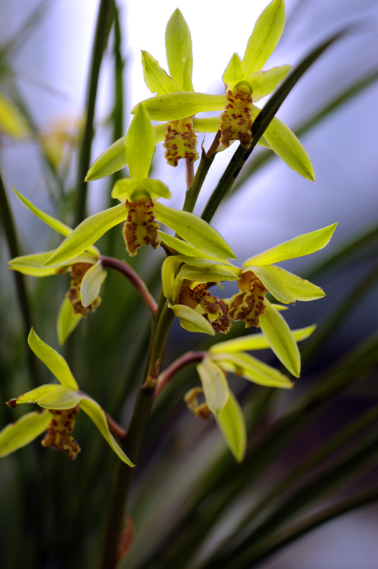 dsc_5908a.jpg
