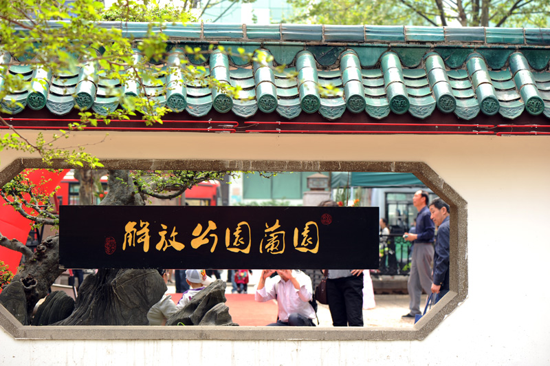 dsc_5994a.jpg