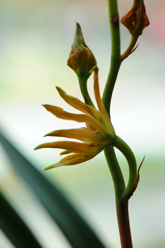 dsc_5919a.jpg