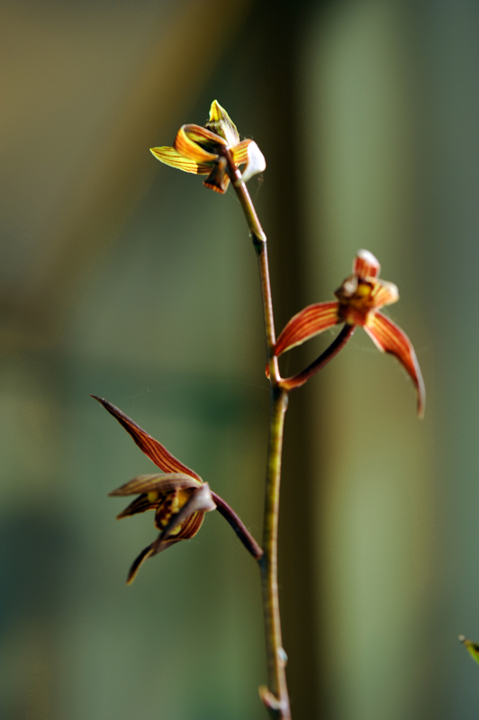 dsc_5898a.jpg