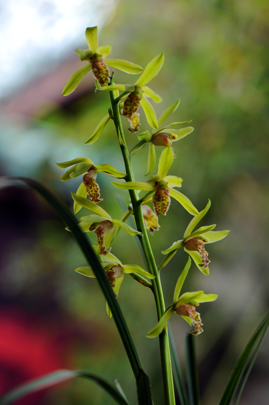 dsc_5901a.jpg