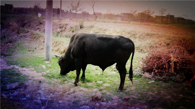 dsc05060_.jpg