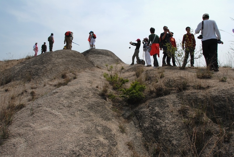 dsc_0047.jpg