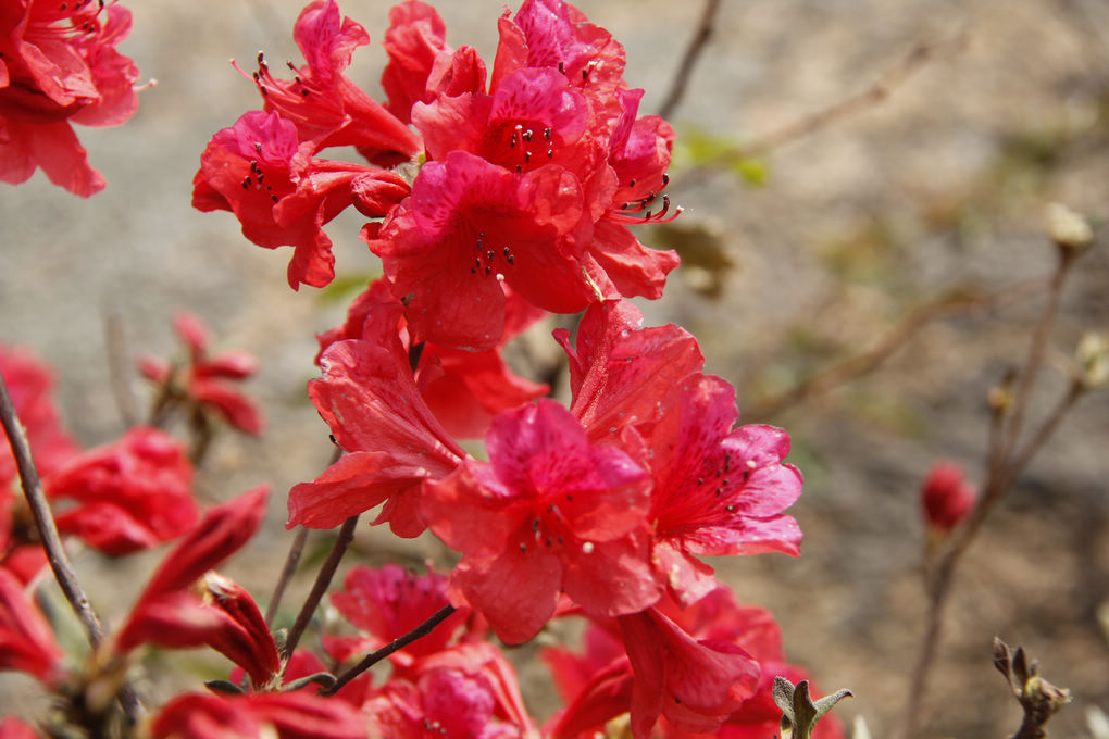 neo_img__mg_0607.jpg