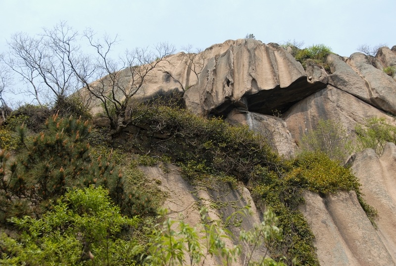 dsc_0088.jpg