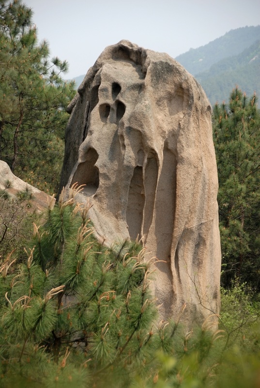 dsc_0092.jpg