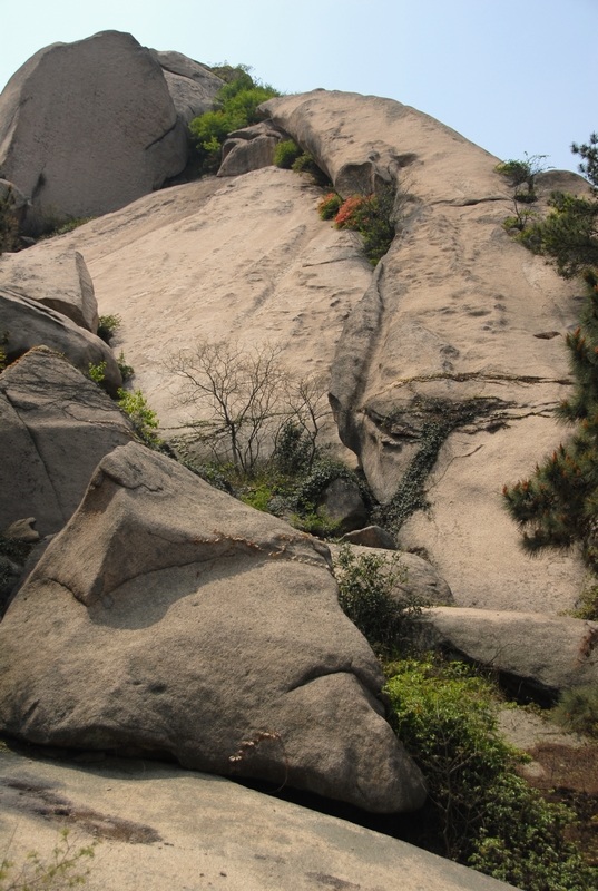 dsc_0099.jpg