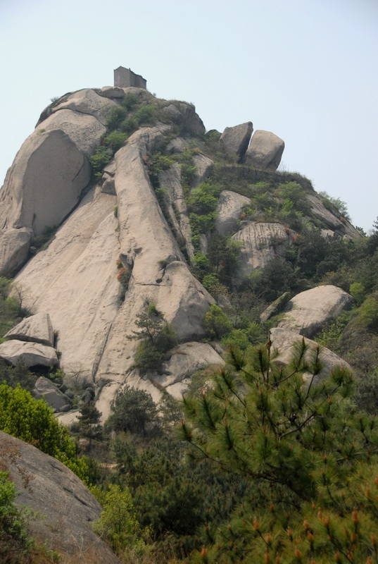 dsc_0106.jpg
