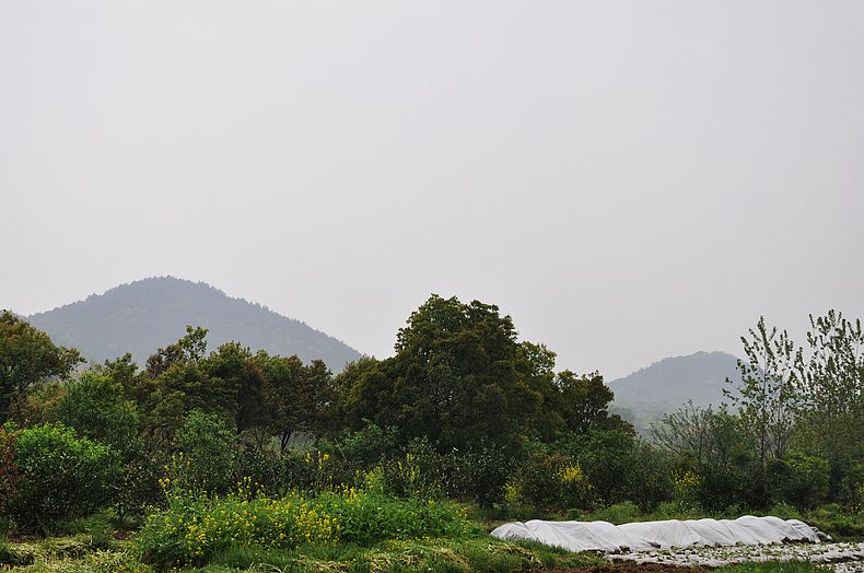 dsc_0248.jpg