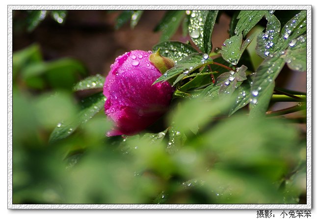 imgp3338.jpg