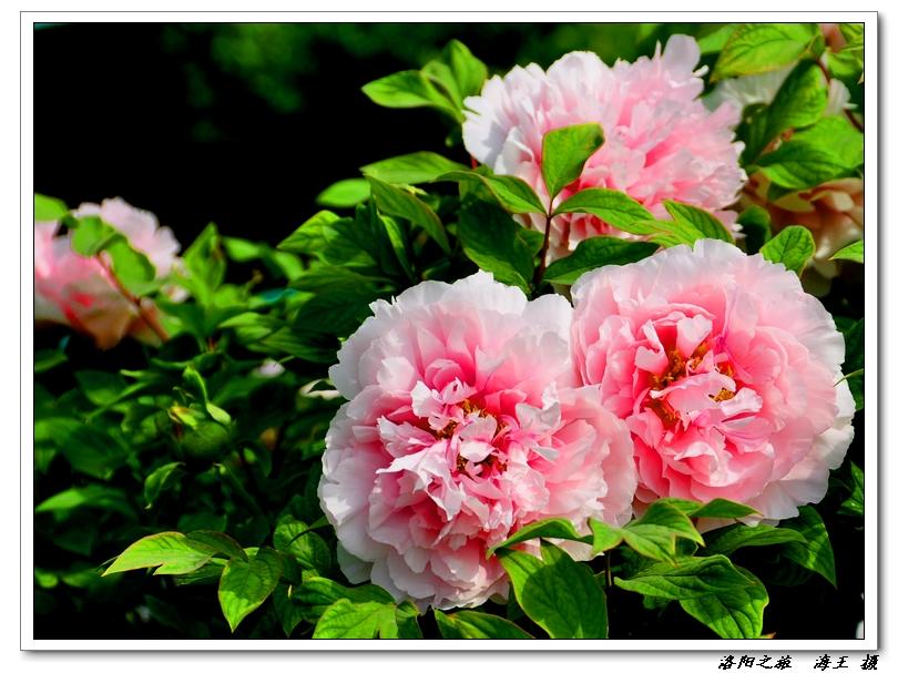 neo_img_dsc_032000.jpg