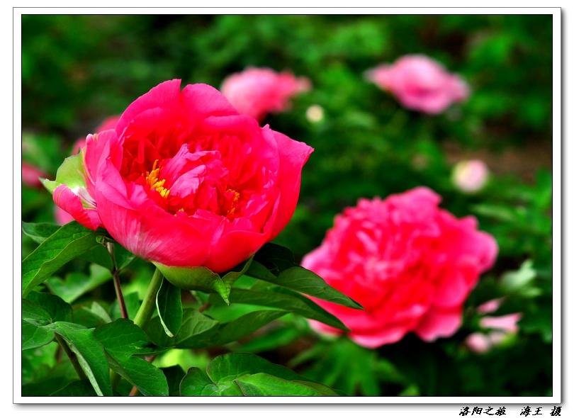 neo_img_dsc_033100.jpg