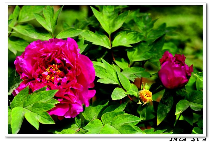 neo_img_dsc_033900.jpg
