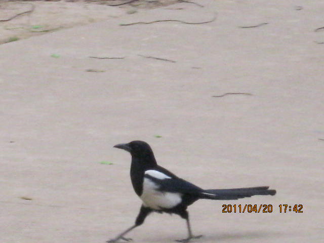 img_2257.jpg