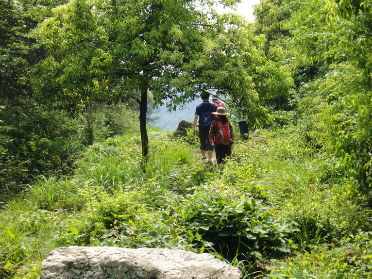 dsc07514.jpg