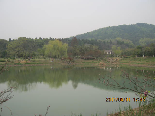 img_1826.jpg