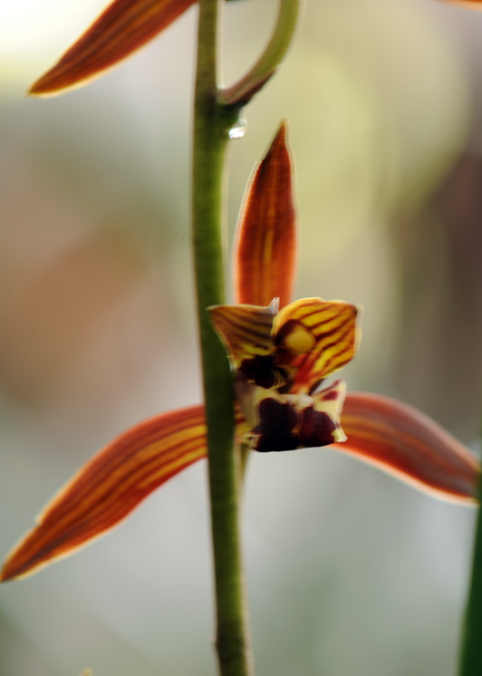 dsc_5924a.jpg
