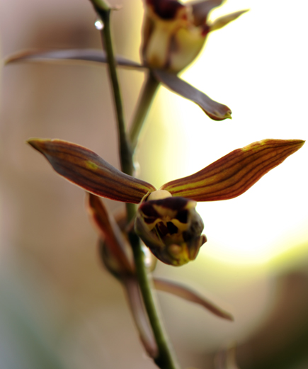 dsc_5928a.jpg