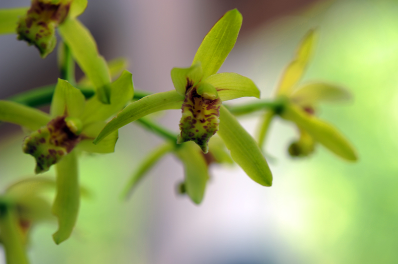 dsc_5944a.jpg