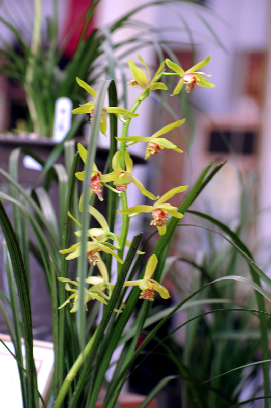 dsc_5951a.jpg