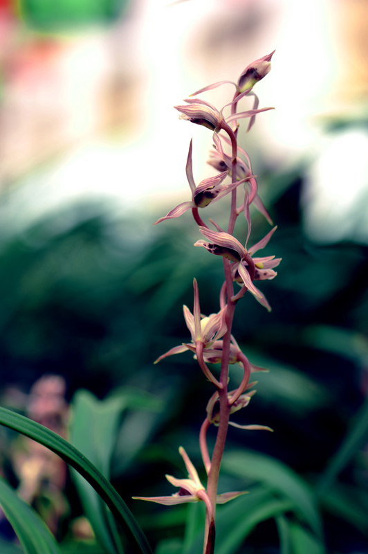 dsc_5955a.jpg