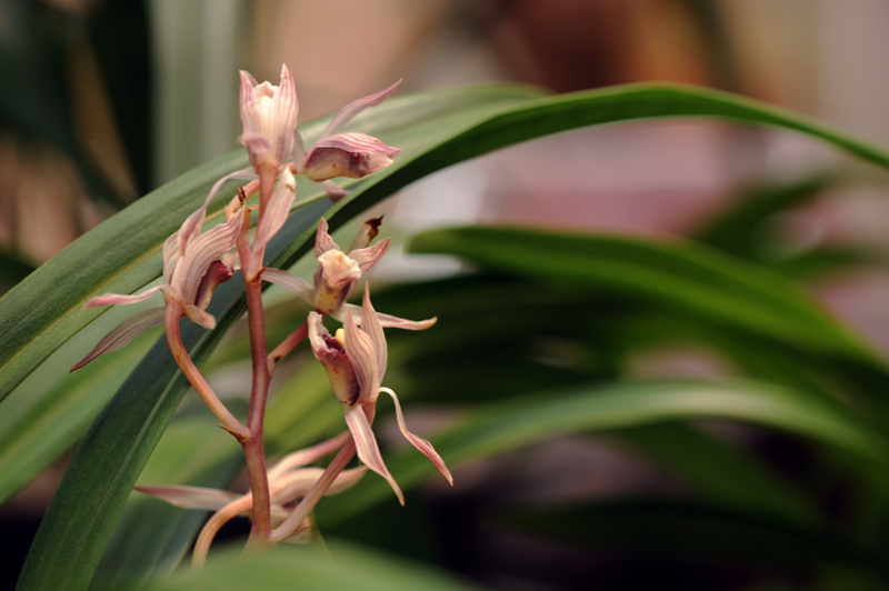 dsc_5956a.jpg