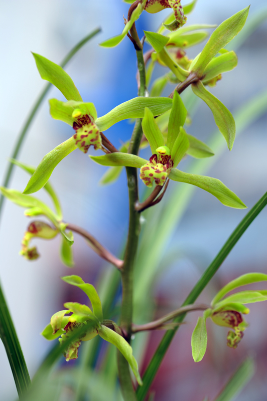 dsc_5957a.jpg