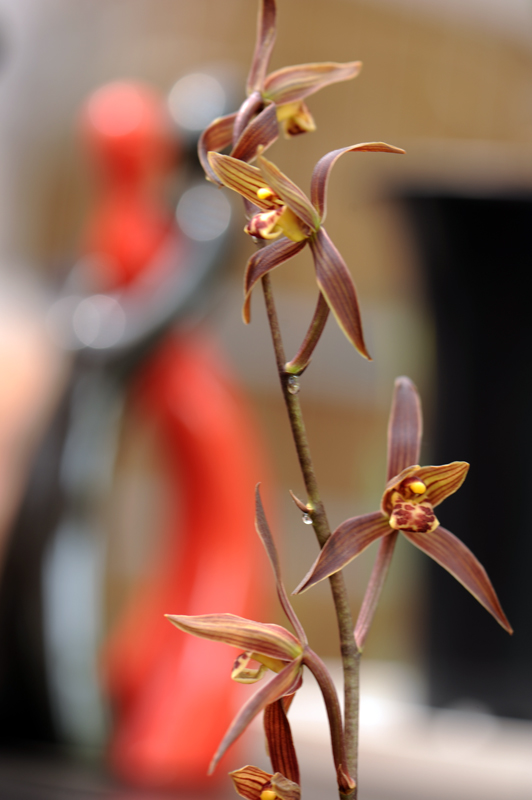 dsc_5961a.jpg
