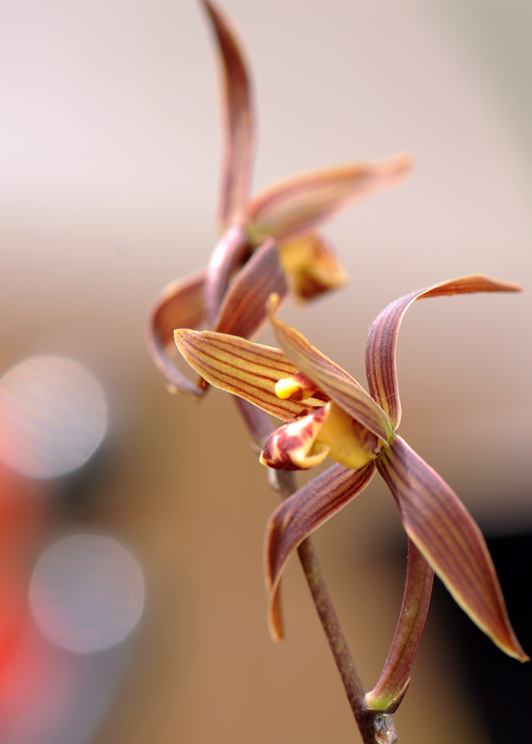 dsc_5962a.jpg