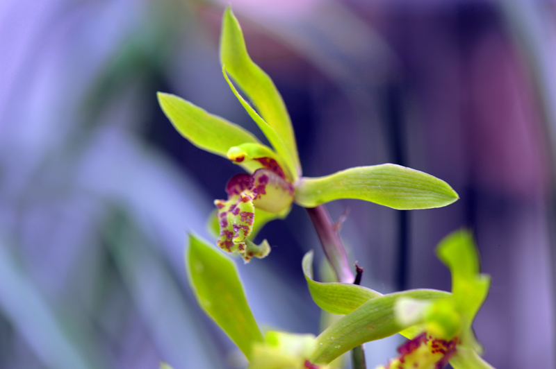 dsc_5983a.jpg