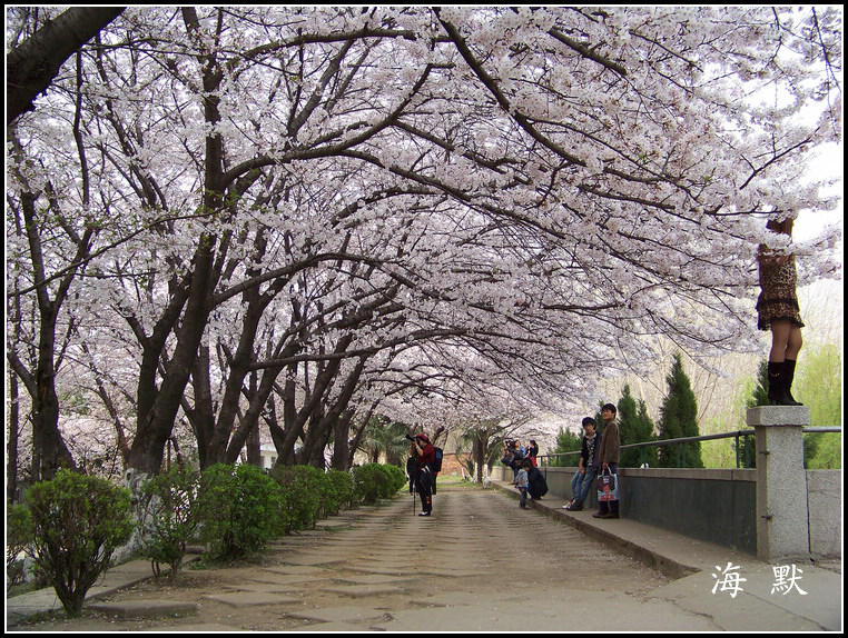 20110331f紨ӣ (52).jpg